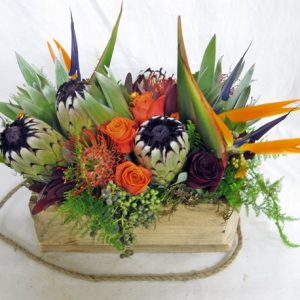 indigenous protea box