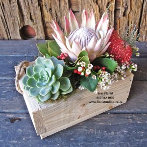 King Protea and Pin Cushions in wooden crate