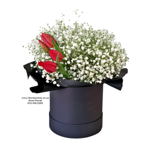 Cloud 9 hatbox