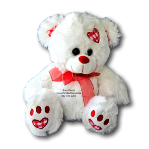 Cuddly white teddy
