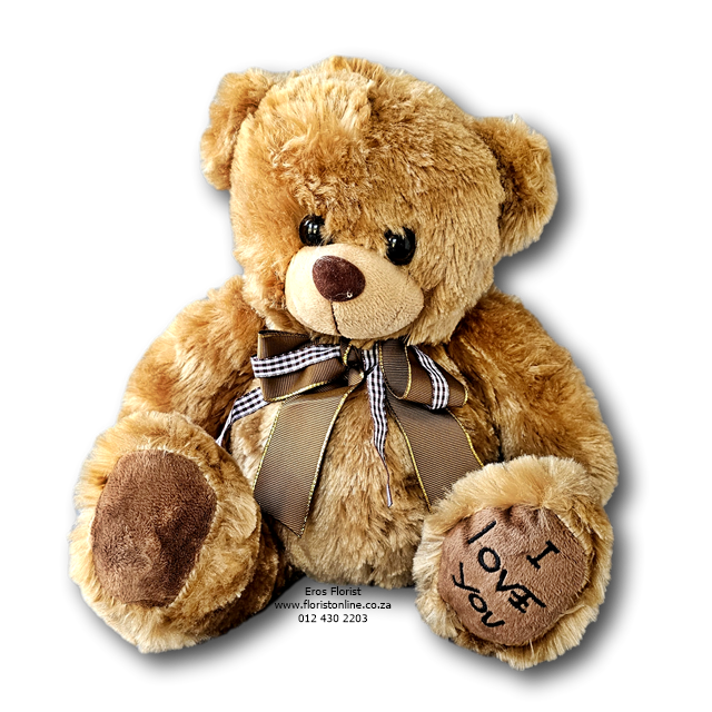 Cute Cuddly Brown Teddy Bear