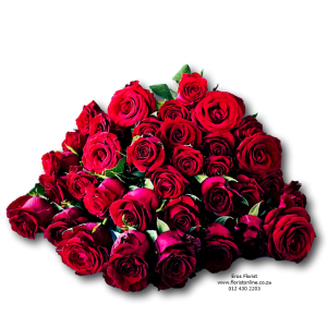 just roses