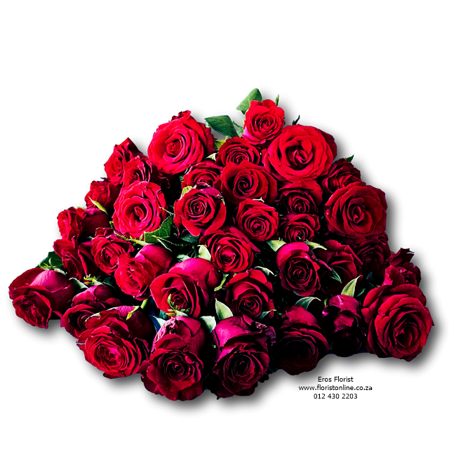 just roses