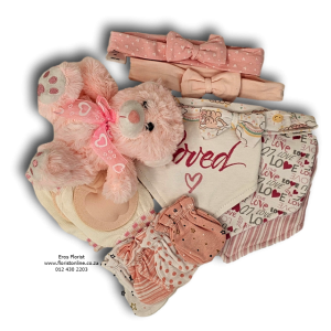 Little lovelies Baby Girl Accessories
