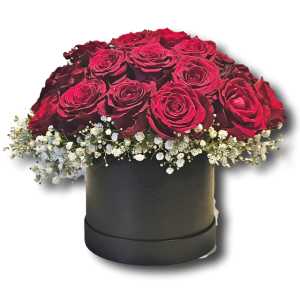Red Rose in Black Hatbox