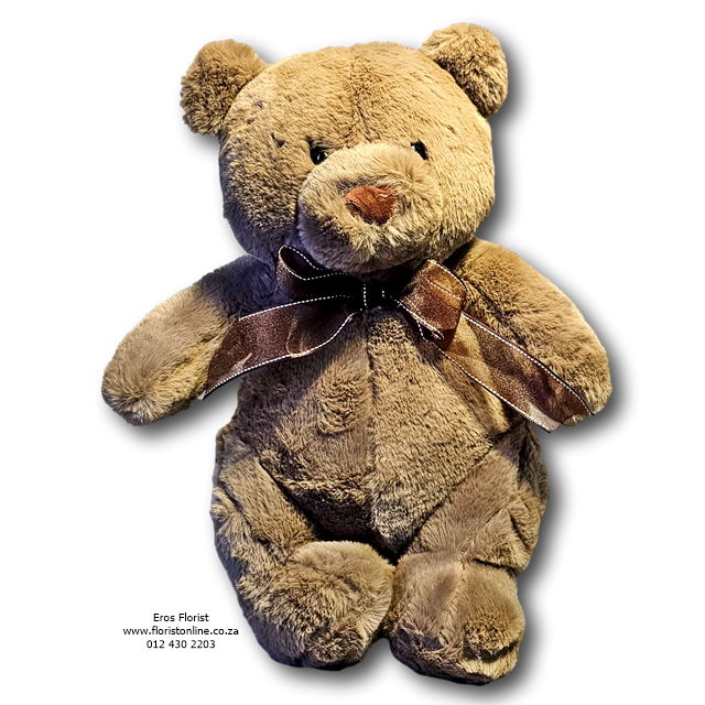 Soft Brown or White Teddy Bear - Image 2