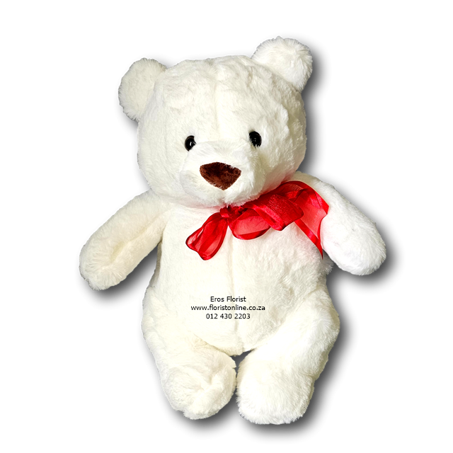 Soft Brown or White Teddy Bear