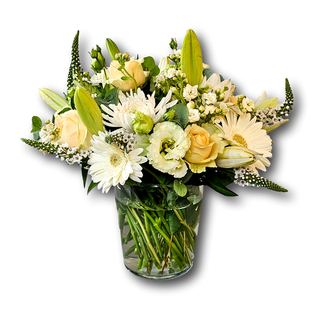 stunning compact flower vase in cream
