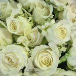 close up of white roses Eros Florist, one of the most iconic white flowers