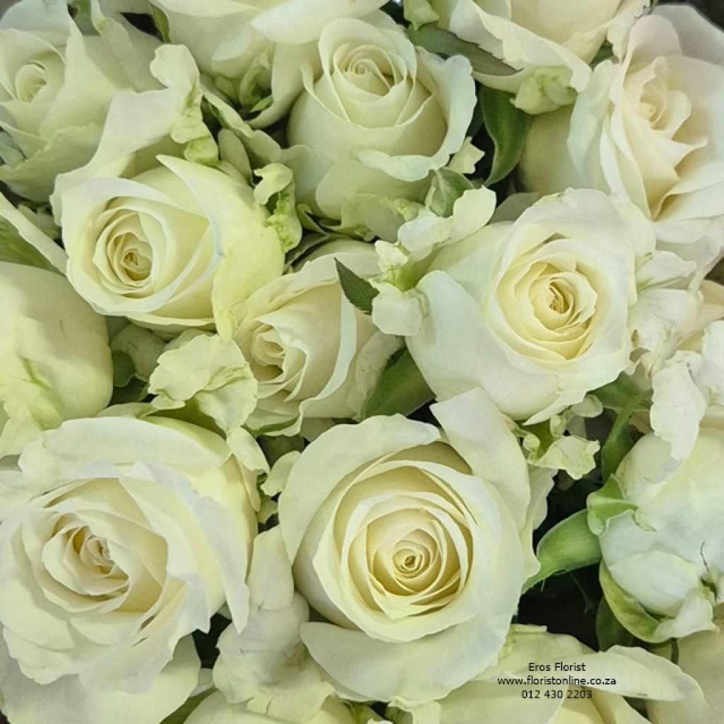 A stunning bouquet of white roses