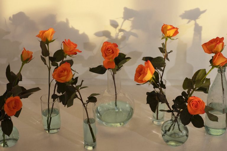 Cut roses can be a beautiful ornament for countertops
