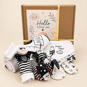 Gender-neutral baby gift hamper containing a hooded towel, washcloth, dribble bibs, cotton mittens and a bug-themed wrist and foot rattle set.