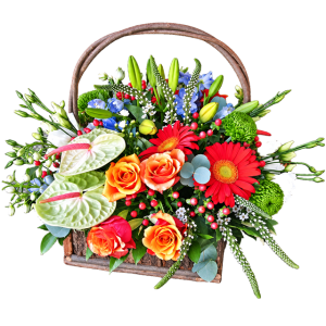 The Colour Edit modern flower basket with colourful seasonal flowers for delivery in Pretoria